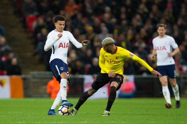 仅在提升自 仅在提升自