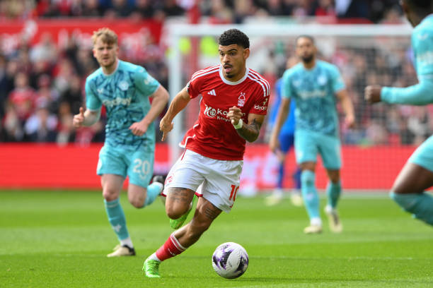 德赫亚的统 德赫亚的统