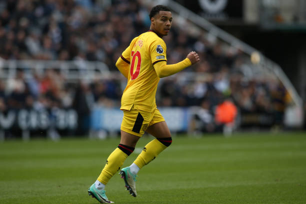 一场罕见的 一场罕见的