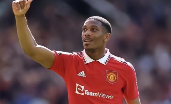 米特罗维奇 米特罗维奇